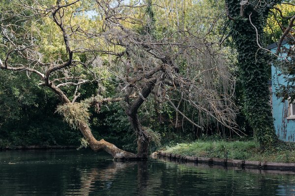 Découvrez le meilleur centre lasers dermatologiques à lyon
