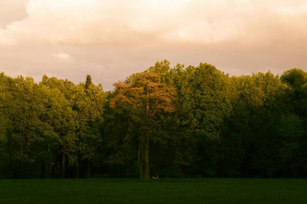 Complément alimentaire pour l'arthrose : combien cela peut vous coûter ?